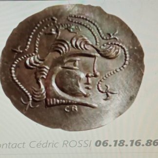 reproductions monnaies antiques BAIOCASSES STATERE SANGLIERS denarii monnaie coin Denarius