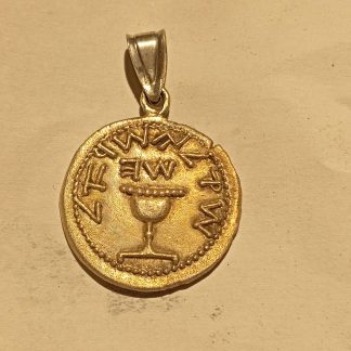 Médaille Argent de la REVOLTE de JUDEE (67-70) Shekel Israel de Jerusalem