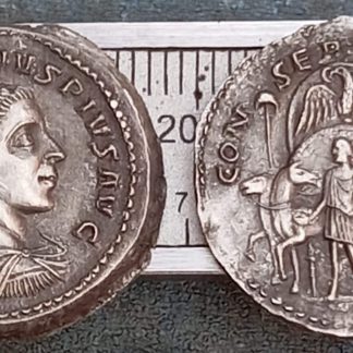 Reproductions de monnaies Antoninien Élagabal 218-222 apr; Rome :ailes déployées .monnaie coin Denarius Denarius