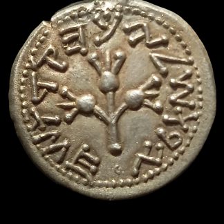Réplique Pièce SHEKEL de la Grande Révolte de Judée (67-70 ap. J.-C.) — Symbole de Résistance Antique — Monnaie Historique